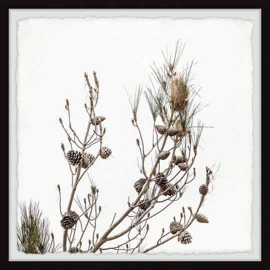 'Almost Leafless' Framed Painting Print