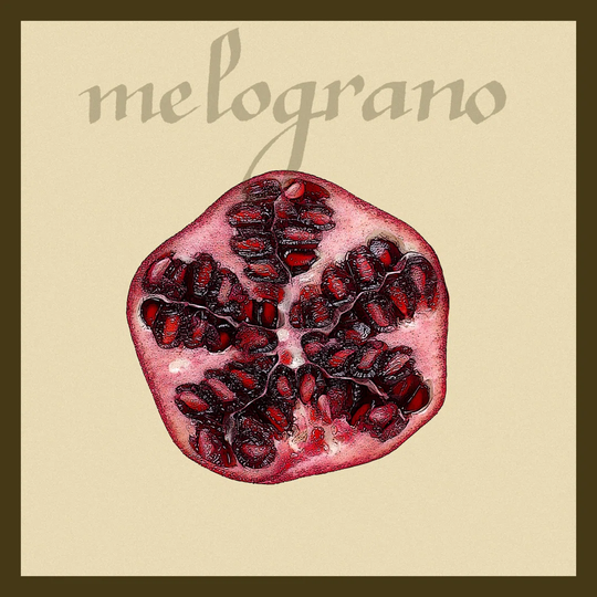 Italian Fruit I - Wrapped Canvas Painting