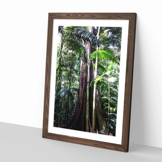 'Jungle Rainforest 3' Framed Photographic Print