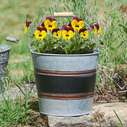 Renwick Metal Plant Pot