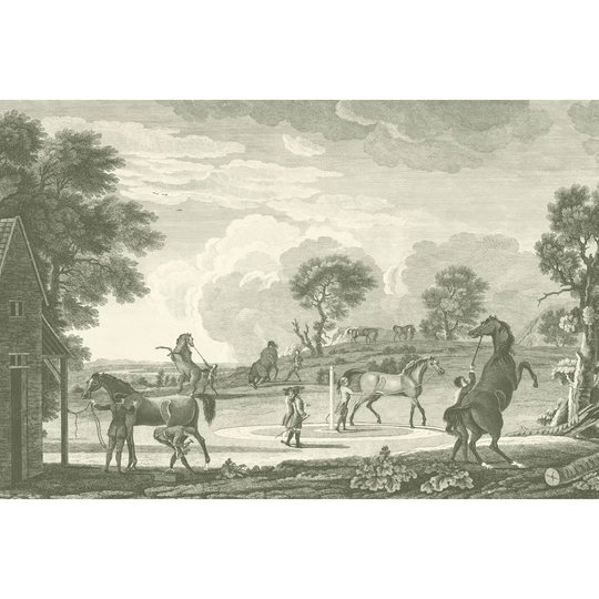 Equestrian Scenes II