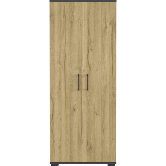 Chien 2 Door Storage Cabinet