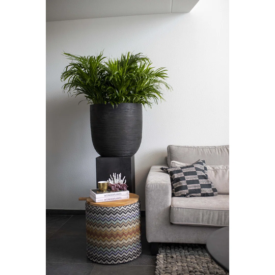 Plant Pot
