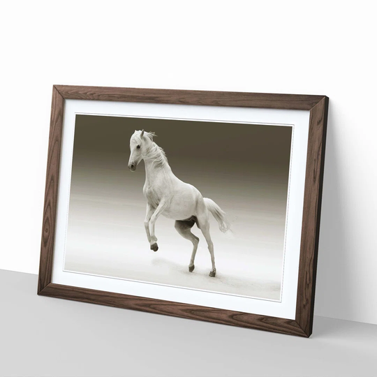 'White Horse 2' Framed Photographic Print