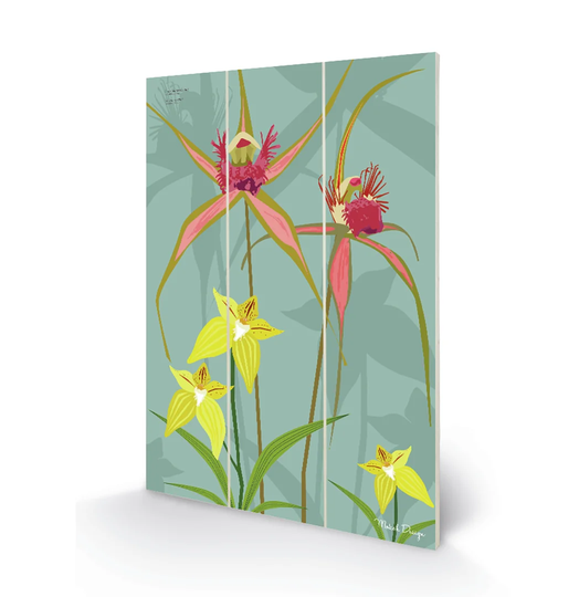 Spider Orchid by Mokoh - Graphic Art on Wood