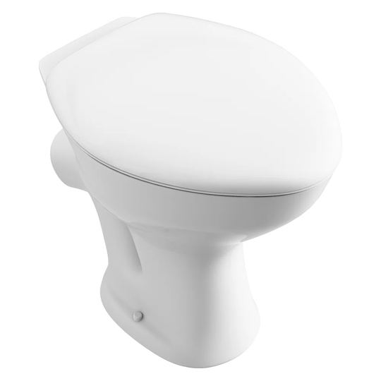 Raney Low Level Toilet with Flush