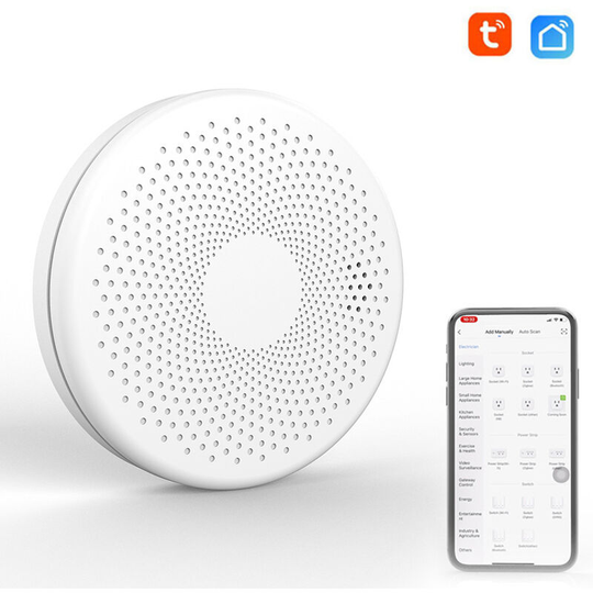 Tuya WiFi 2 In 1 Intelligent Smokes Carbon Monoxide Detector co Gases Detectors Sound Flash Light Alarm Function,model:White
