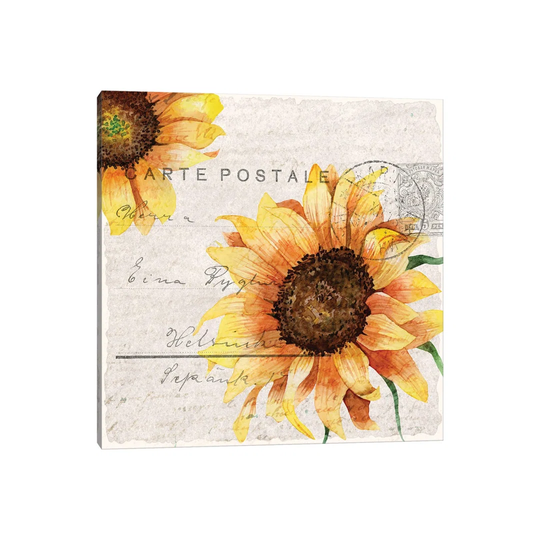 Sunflower Postcard II by Kimberly Allen - Wrapped Canvas Graphic Art