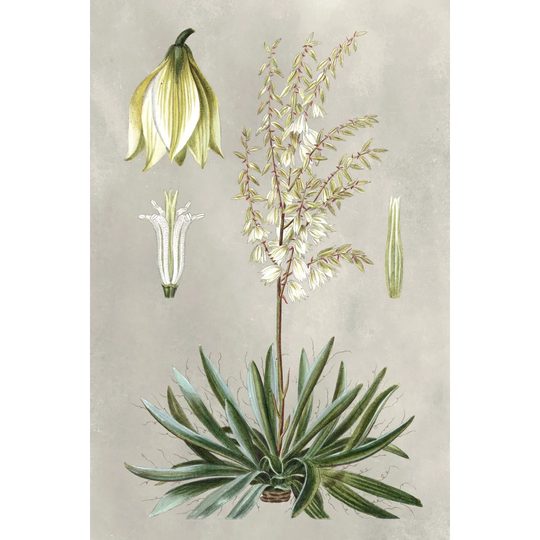 Tropical Varieties I - Wrapped Canvas Painting