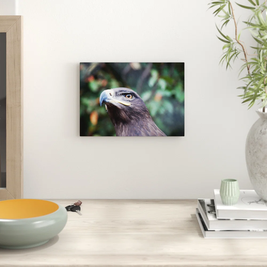 'Steppe Eagle Bird' Graphic Art