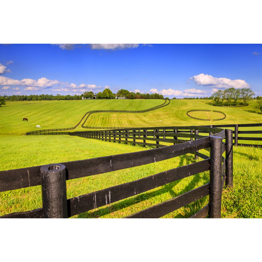 Horse Farm Fences