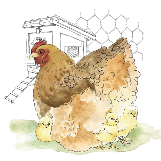Fun at the Coop II by Beth Grove - Wrapped Canvas Painting