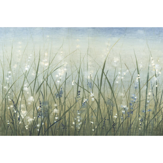 Bliss I by Timothy O' Toole - Wrapped Canvas Art Prints