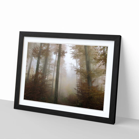 'Landscape Sunlight Forest Wood 11' Framed Photographic Print