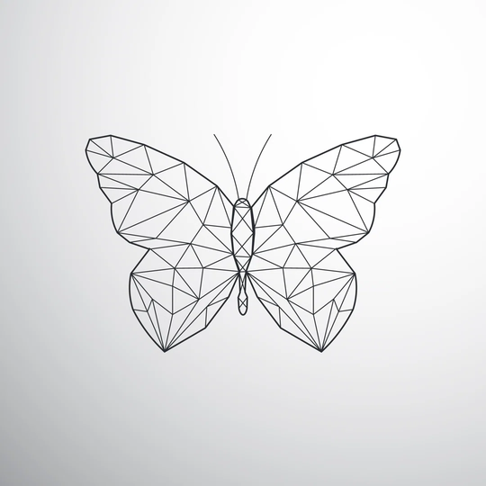 Geometric Butterfly