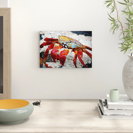 'Crab' Graphic Art