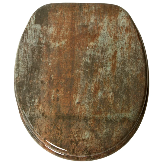 Rusty Soft Close Toilet Seat