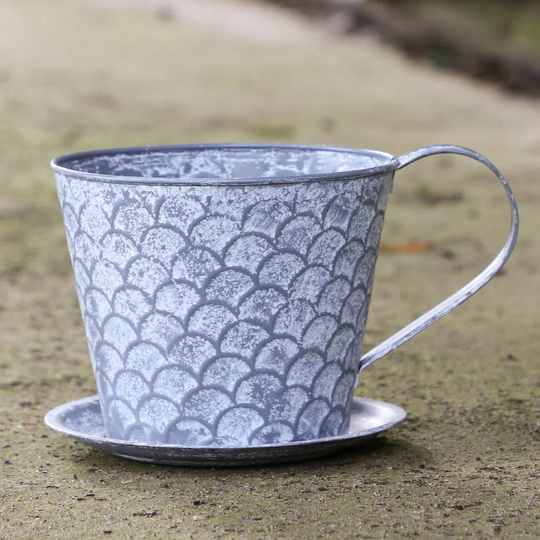 Scalloped Effect Tea Cup Planter