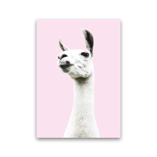 Pink Llama by Victoria Frost - Photograph Print