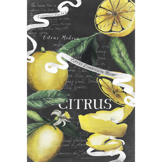 Chalkboard Citrus II by Grace Popp - Wrapped Canvas Advertisement