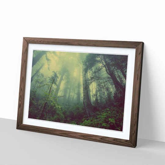 'Landscape Misty Forest' Framed Photographic Print
