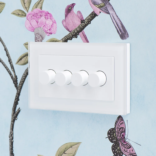 Goodwater Wall Mounted Dimmer