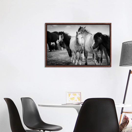 Black and White Horses - Photograph on Canvas