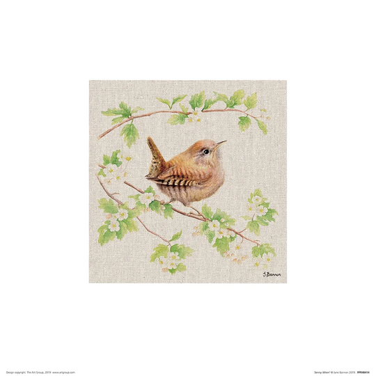 'Jenny Wren' Painting on Wrapped Canvas