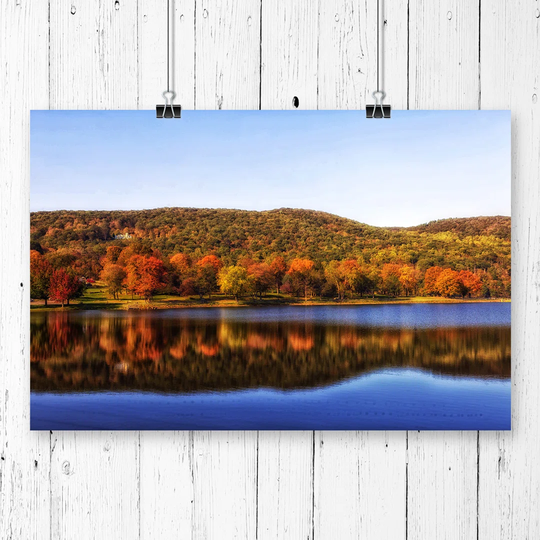 "Landscape Squantz Pond Connecticut Forest" Graphic Art