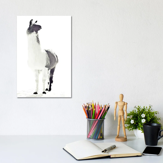 Fluffy Llama Monika Strigel Animals by Monika Strigel - Wrapped Canvas Photograph