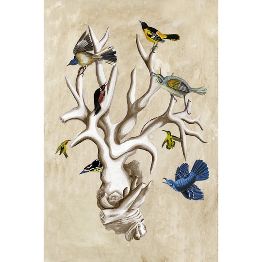 The Ornithologists Dream II by Naomi McCavitt - Wrapped Canvas Painting