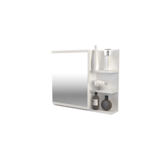 Hillsg 60 x 50cm Mirrored Wall Mounted Cabinet