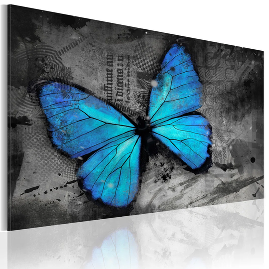 Canvas Print - The Study Of Butterfly