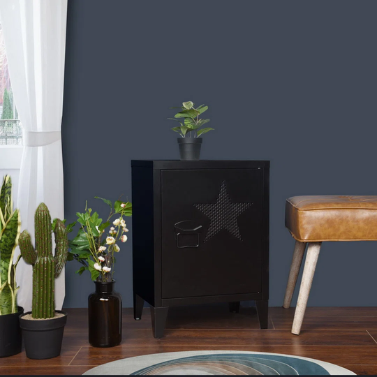 Blasius 1-Door 2-Shelf Storage Cabinet