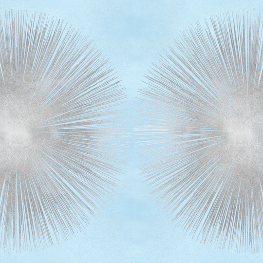 Sunburst Silver on Photograph Blue Ii - Wrapped Canvas Art Prints