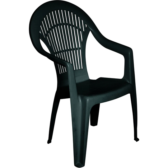 Aliyus Dining Chair