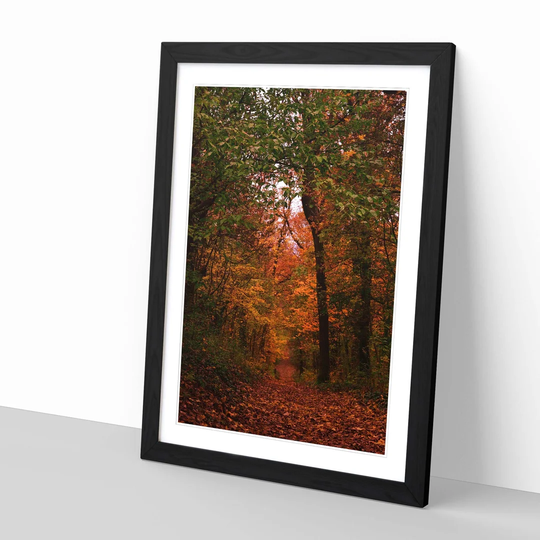 Autumn Forest Woodland Path Framed Photographic Print