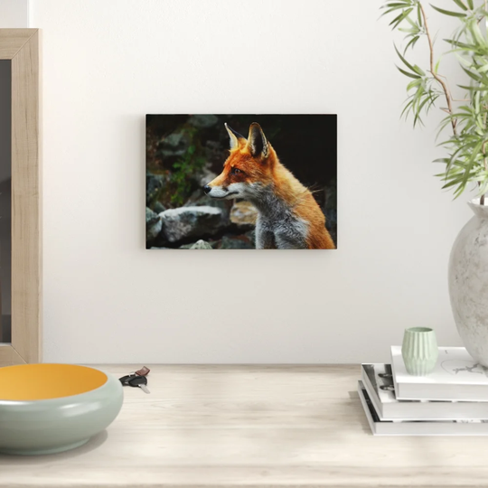 'Red Fox' Photographic Print