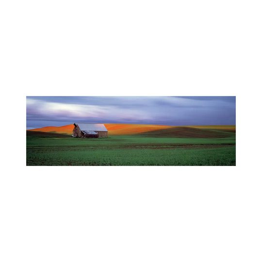 Barn In A Field At Sunset, Palouse, Whitman County, Washington State, USA #4