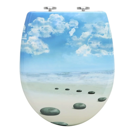 Dejonna Soft Close Elongated Standard Toilet Seat