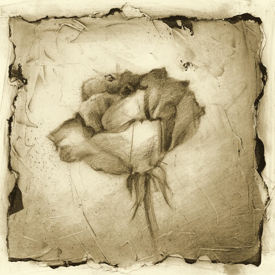 Floral Impression VI by Ethan Harper - Wrapped Canvas Painting