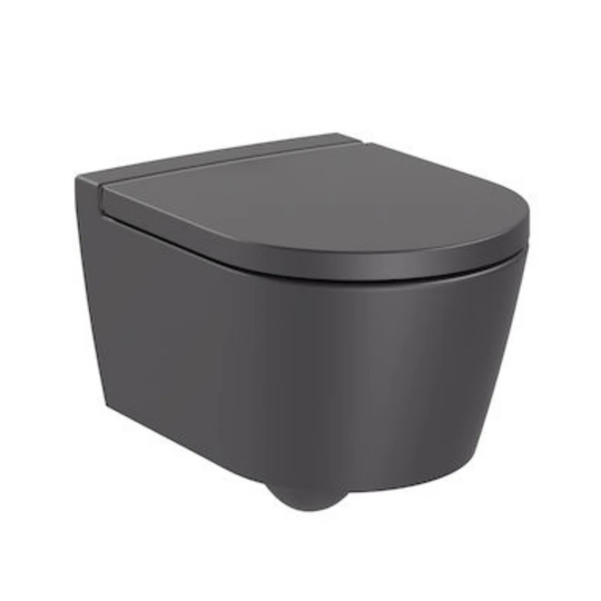 Wall Hung Toilet with flush and Soft Close Seat