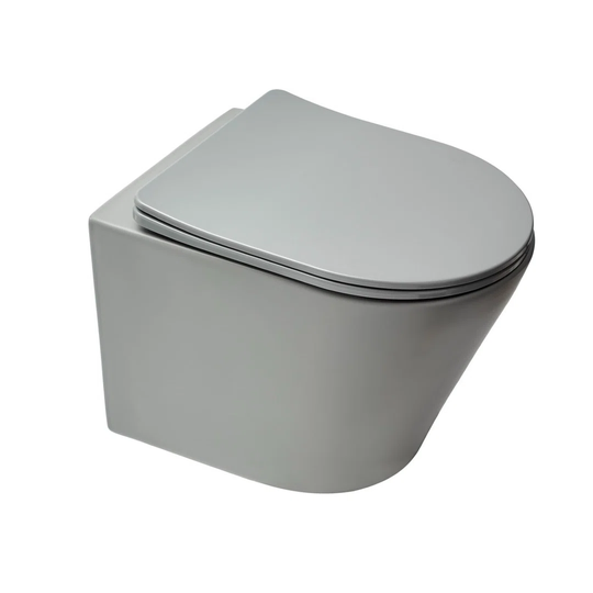 Schram Wall Hung Toilet with flush