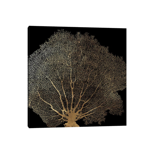 Honeycomb Coral II by - Wrapped Canvas Graphic Art