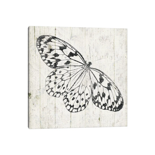 Butterfly - Print on Canvas