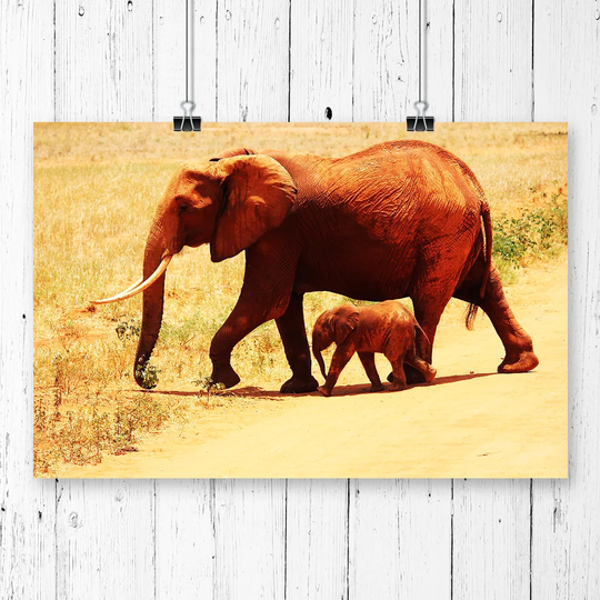 'Mother and Baby Elephant' Photographic Print
