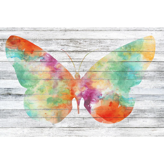 Wings on Wood I - Wrapped Canvas Painting