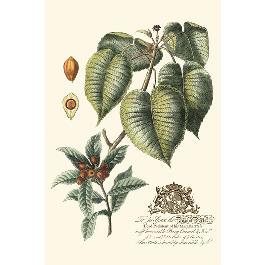 Imperial Foliage III by Vision Studio - Wrapped Canvas Art Prints