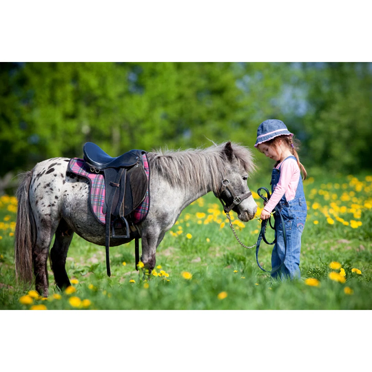 A Horse and a Child in a Field by Alexia Khruscheva - Wrapped Canvas Photograph