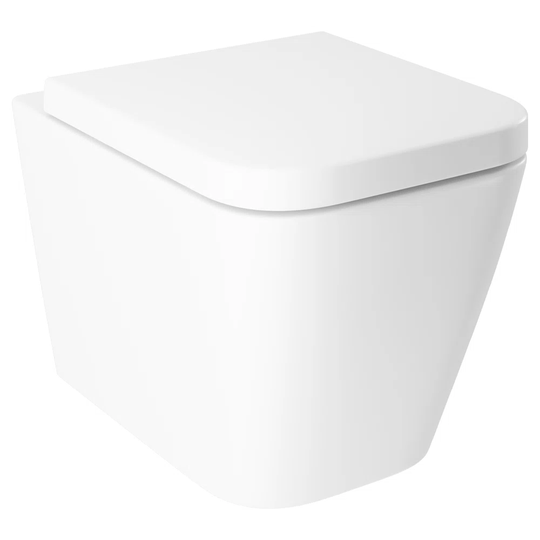 Turcotte Wall Hung Toilet